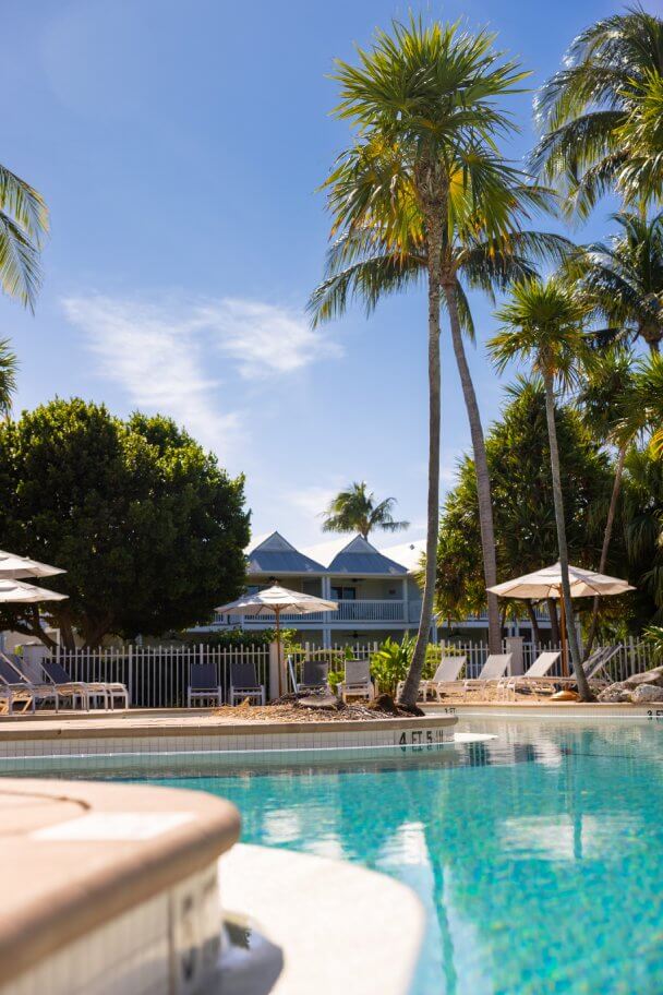 Tropical resort pool surrounded by palm trees, lounge chairs, and sunny skies for a relaxing island escape.