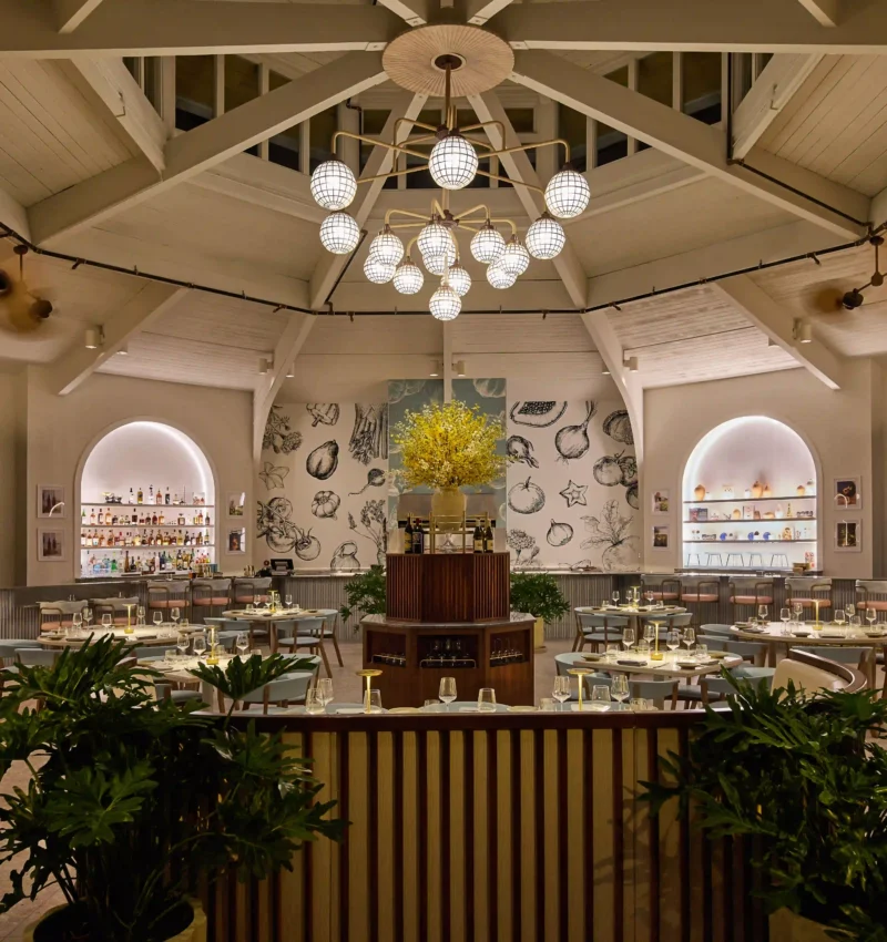 2025-01_HWK_Salt + Ash_HI-RES_Michael Pisarri2-HDopt