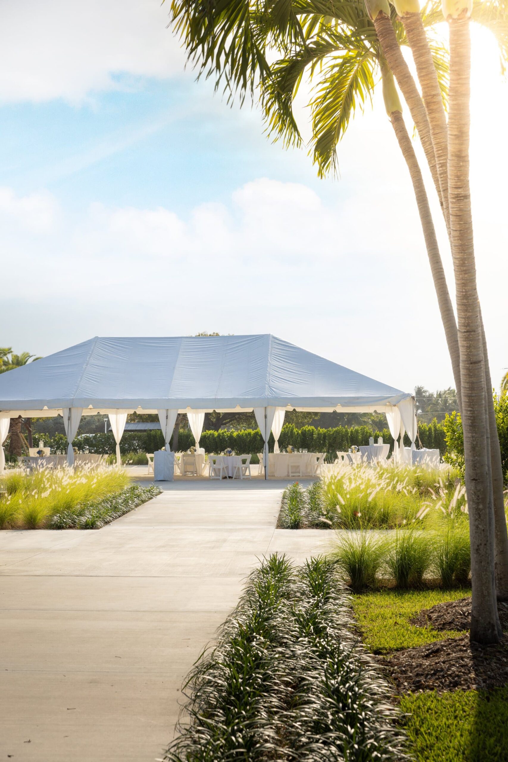 2025-03_HWK_Architecture_Palm Garden_09sky_Conor Doherty (1)