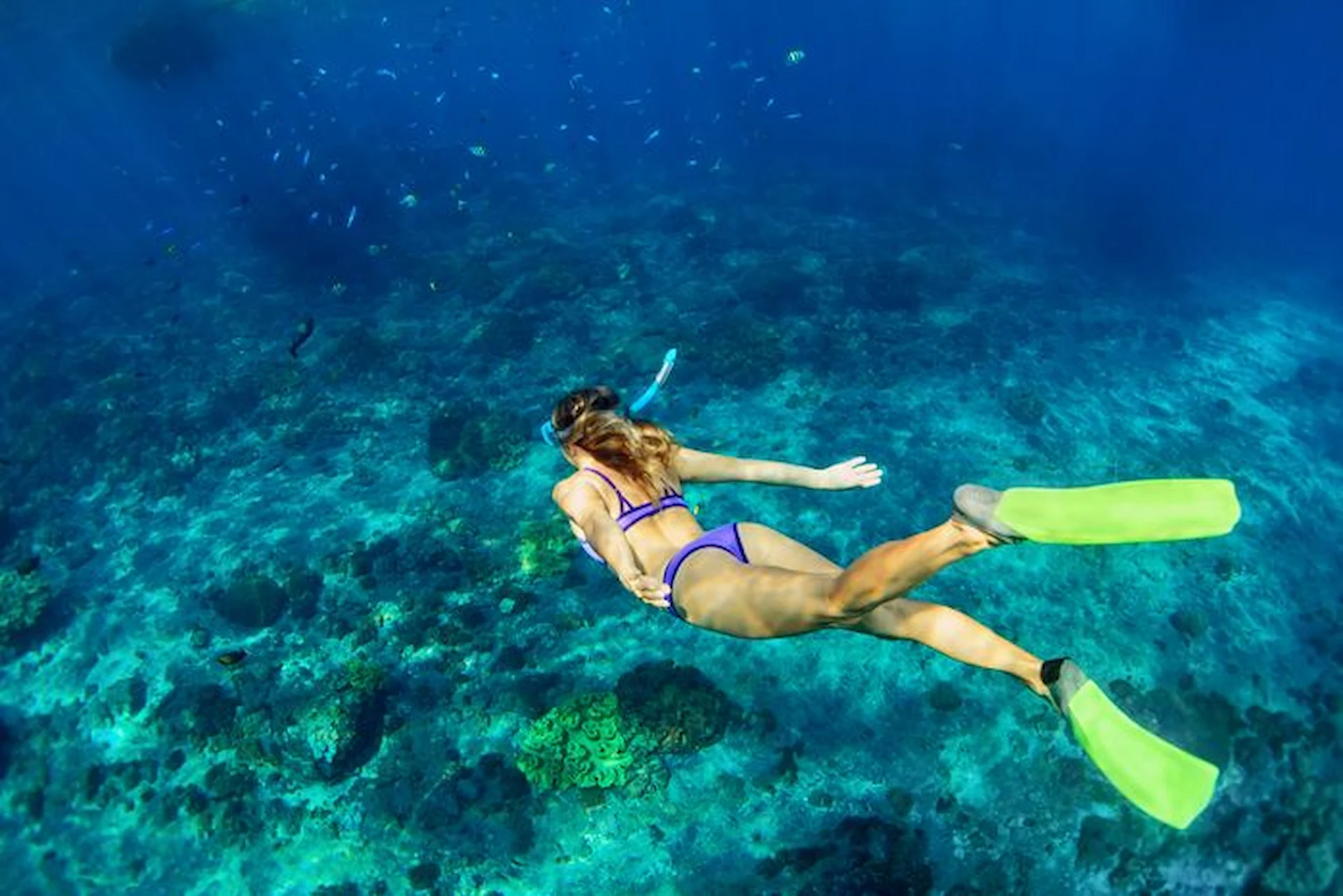 Snorkeler swimming over a vibrant coral reef in clear blue ocean water with fins and mask.