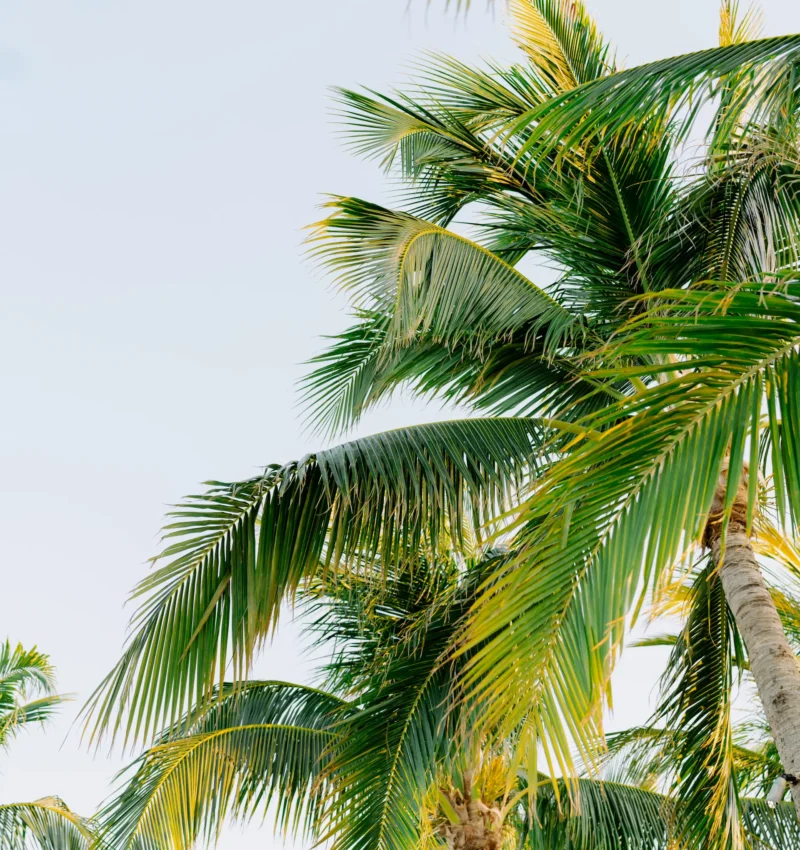 3535a995ca3fff92e184ce249b85a92fc007b939